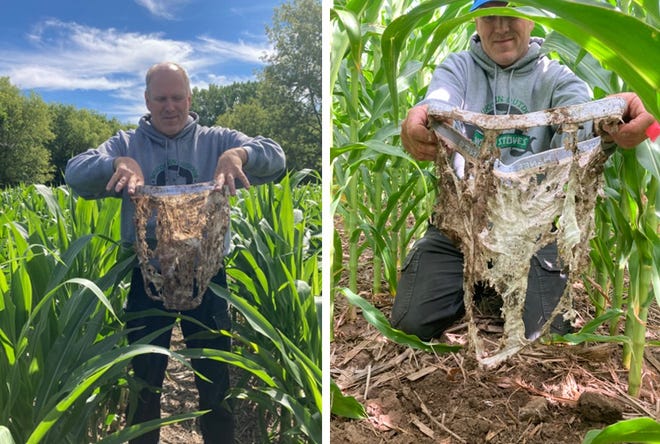 Tim Jennings of the South Kinni Watershed area showed two pairs of innards in nearby fields under similar management.  The photo on the left has had 2 years of no work and the photo on the right has had 8 years of no work.