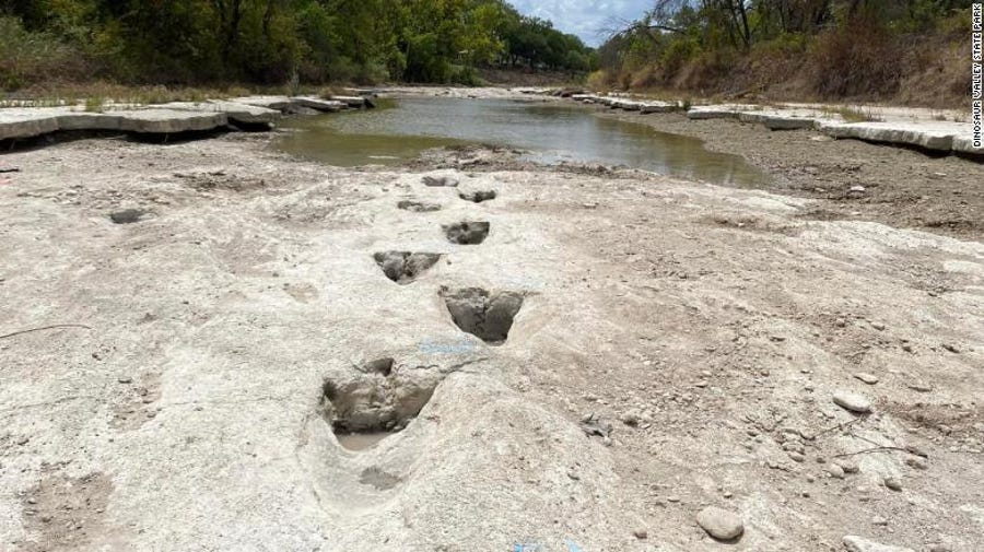 Newly discovered dinosaur tracks at Dinosaur Valley State Park in Texas. Drought conditions revealed the tracks, which are typically underwater and covered with sediment.