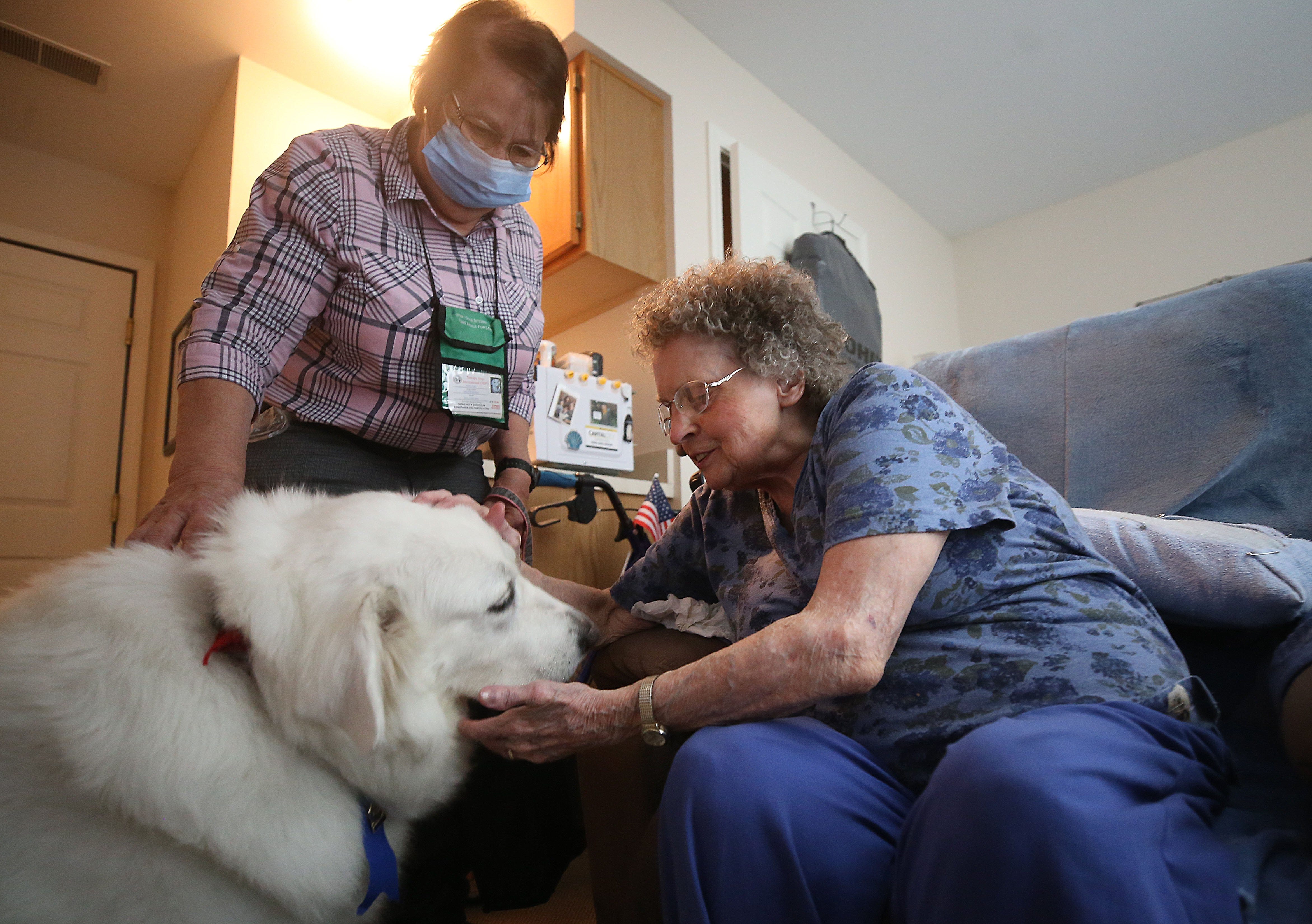 Why Are Dogs Good Therapy Animals