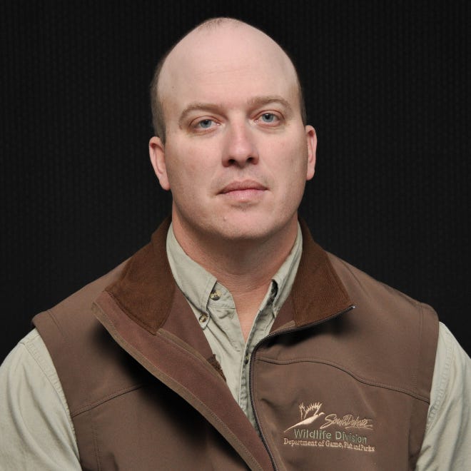 recreation fish and parks column suggestions for attracting yard birds recreation fish and parks column suggestions for attracting yard birds