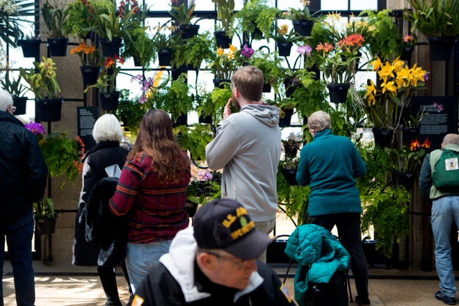 Guests soak in the display of orchids at the reopened Orchid House at Longwood Gardens on Feb. 28, 2022.