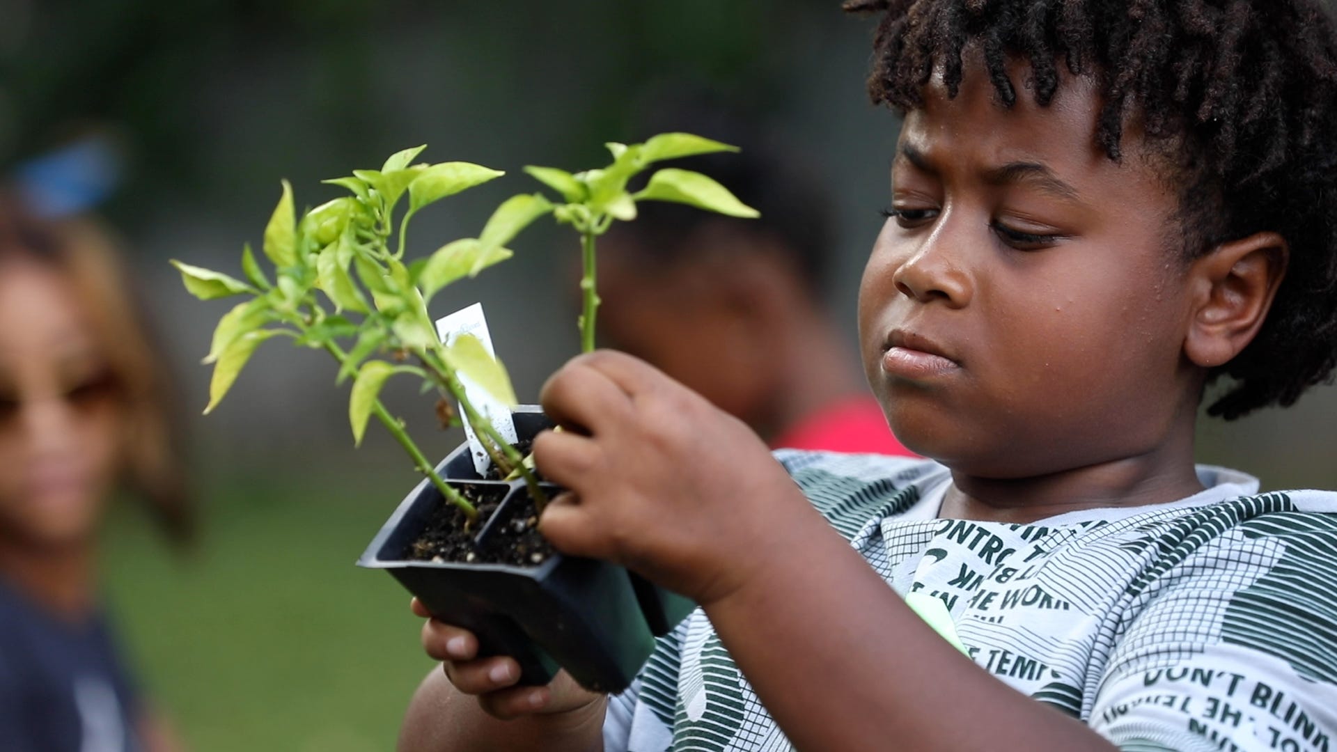 A youth looks over his plant before putting it into the garden bed.   Pastor Kenneth Simmons of Cold Spring Bible Chapel on Northland Ave. in Buffalo, NY mentors a group of young boys taking them fishing, teaching them gardening, and other types of outings.  He had the children weed, plant and water their seedlings in the raised garden bed behind the church on July 7, 2022.  