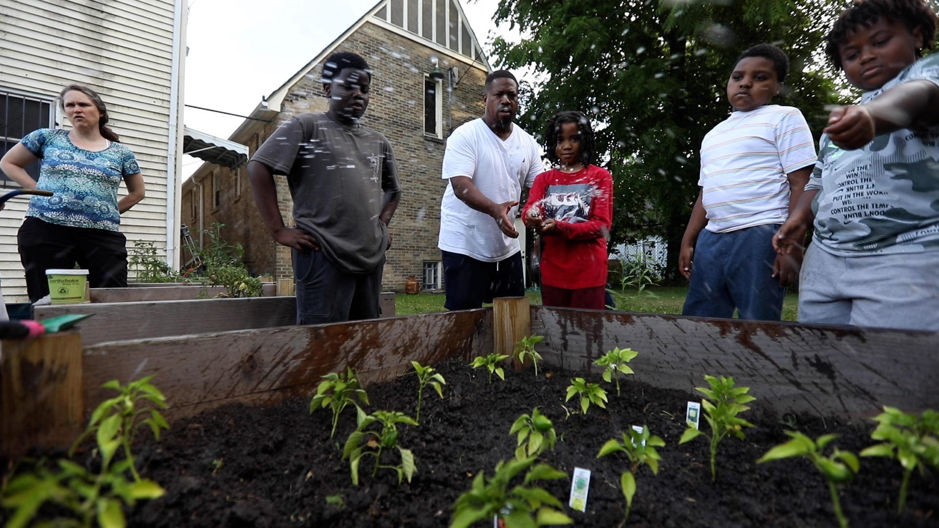 Pastor Kenneth Simmons of Cold Spring Bible Chapel on Northland Ave. in Buffalo, NY mentors a group of young boys taking them fishing, teaching them gardening, and other types of outings.  He had the children weed, plant and water their seedlings in the raised garden bed behind the church on July 7, 2022.