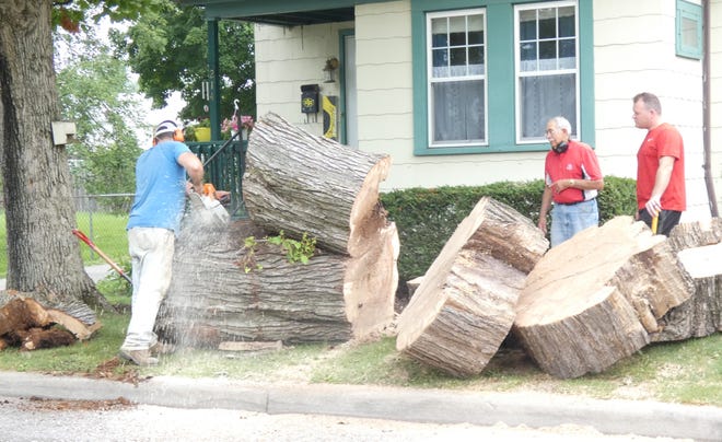 Former neighbor Adam Whitmeyer, left, helps saw up the trunk of an ancient sugar maple in front of the home of Tom Alspach, 214 W. Center St., on Friday. Neighbor Jason Haycock is at right. The tree fell during a storm earlier this summer, they said.
