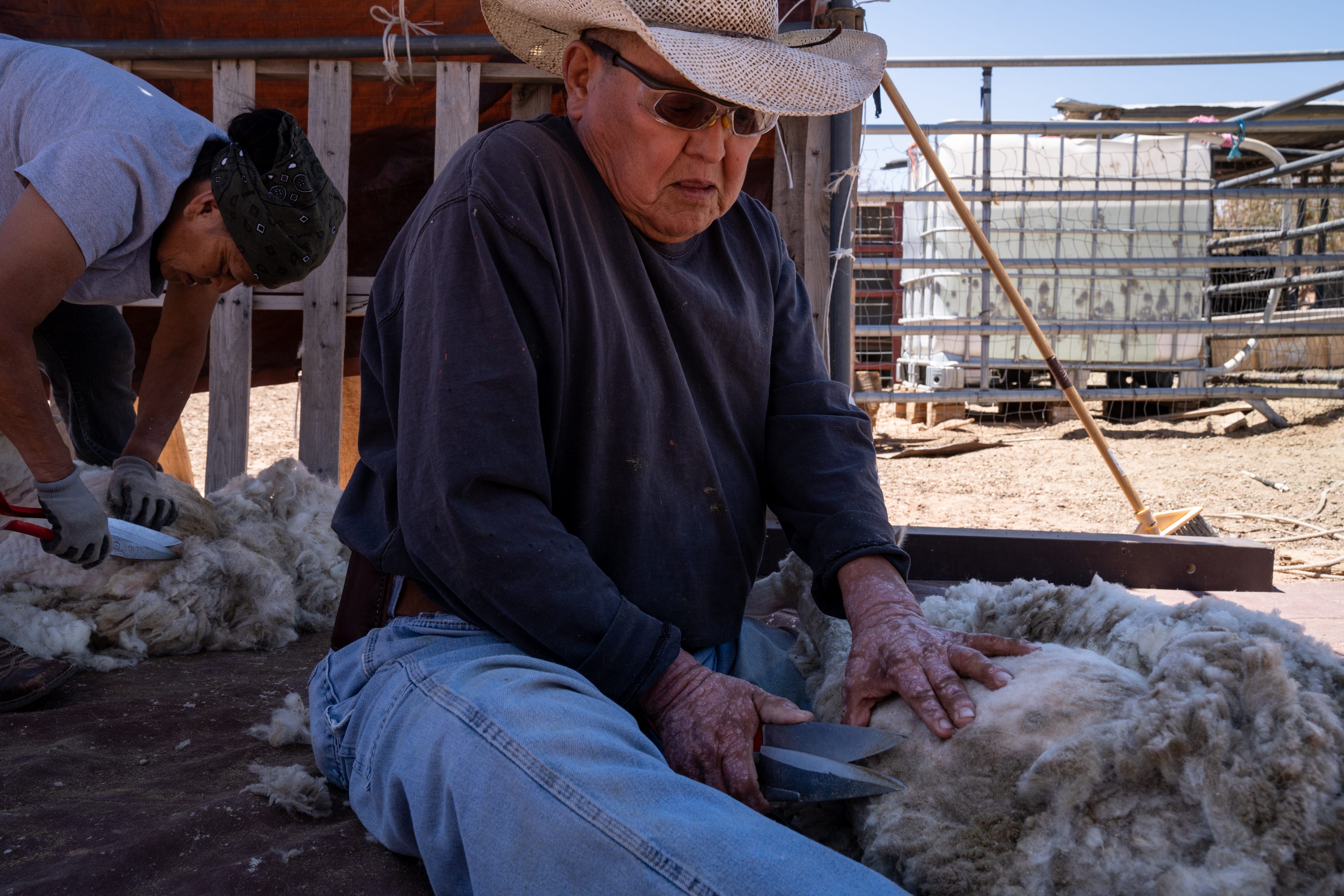 Michael and Marjorie Bigman shear sheep in their camp near Coppermine on the Navajo Nation on May 24, 2022. The Bigman's haul water from Pageevery other day, for their sheep, goats, cattle and horses.