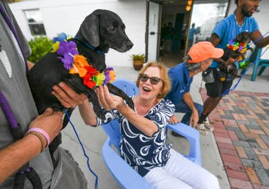 Humane society of fort pierce examples of contemporary change leadership models for healthcare
