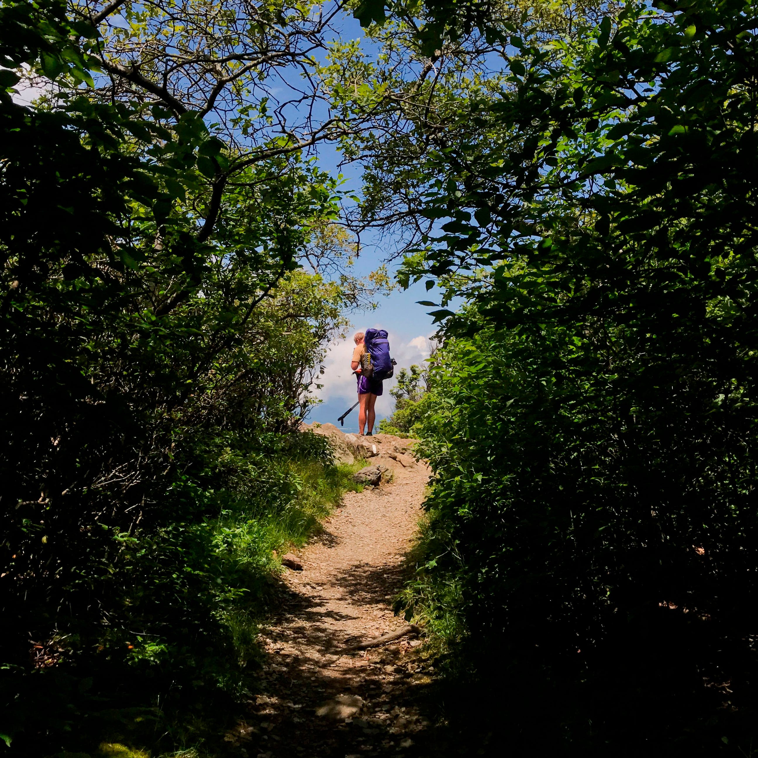 A hiker looks at a map as he walks part of the Appalachian trail in Shenandoah National park, Virginia, on June 13, 2019.