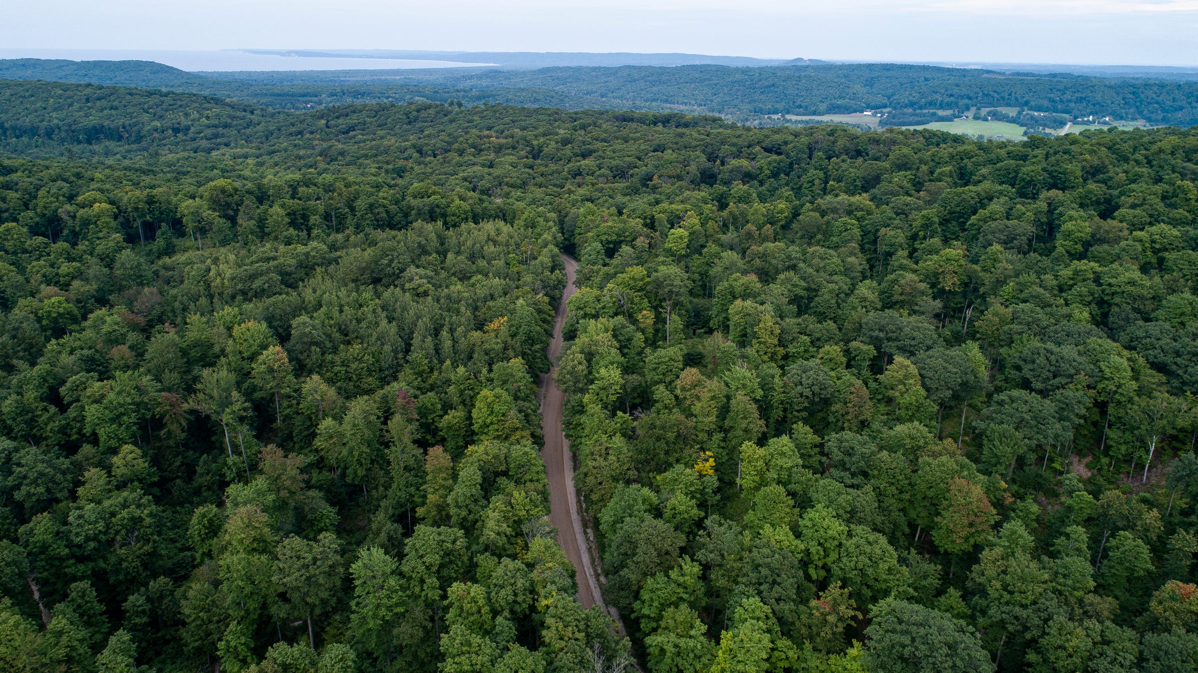 Leelanau Conservancy's Palmer Woods Forest Reserve in Maple City on Wednesday, Aug. 24, 2022.