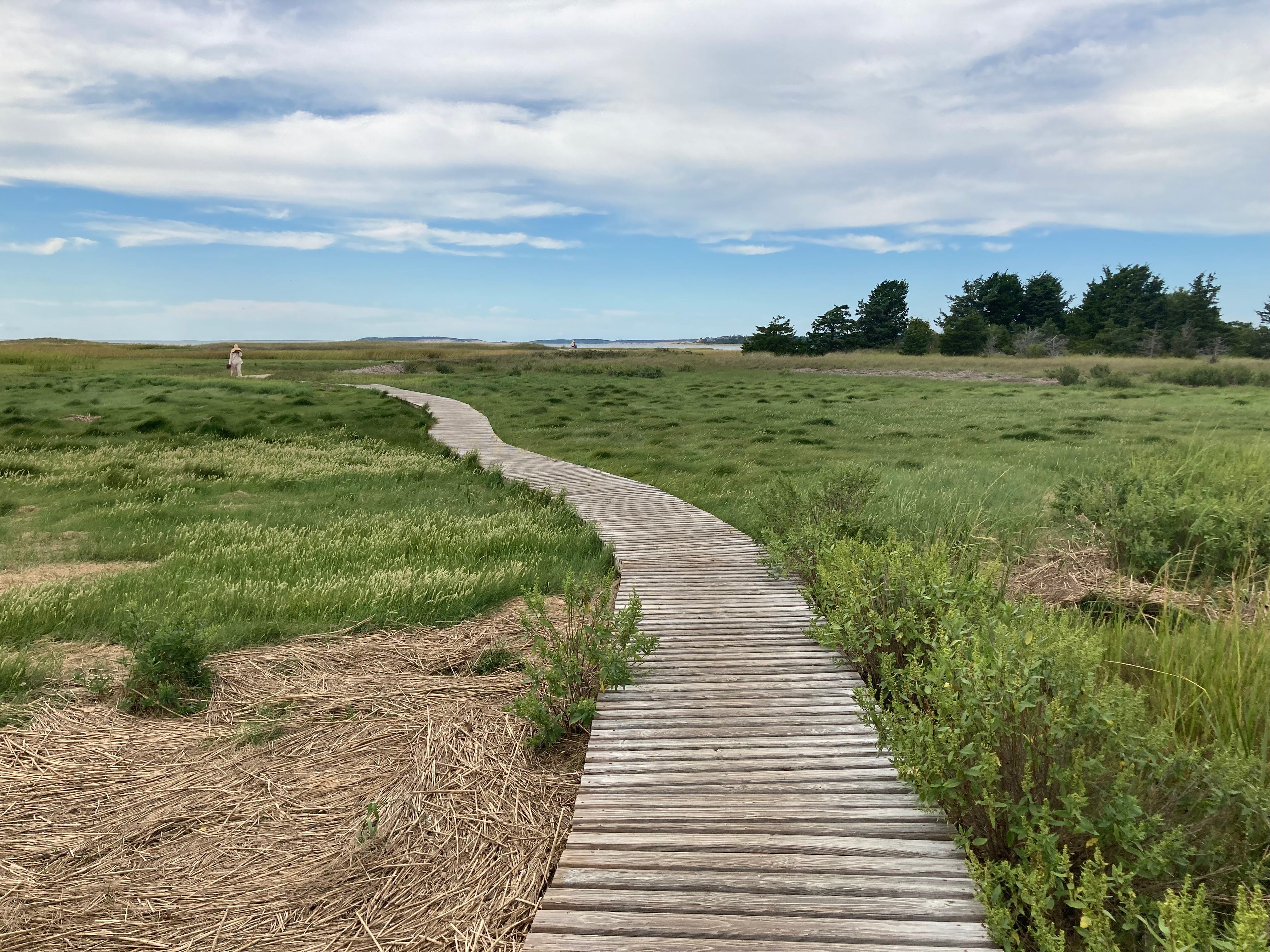 Take a hike through Mass Audubon Wellfleet Bay Wildlife Sanctuary
