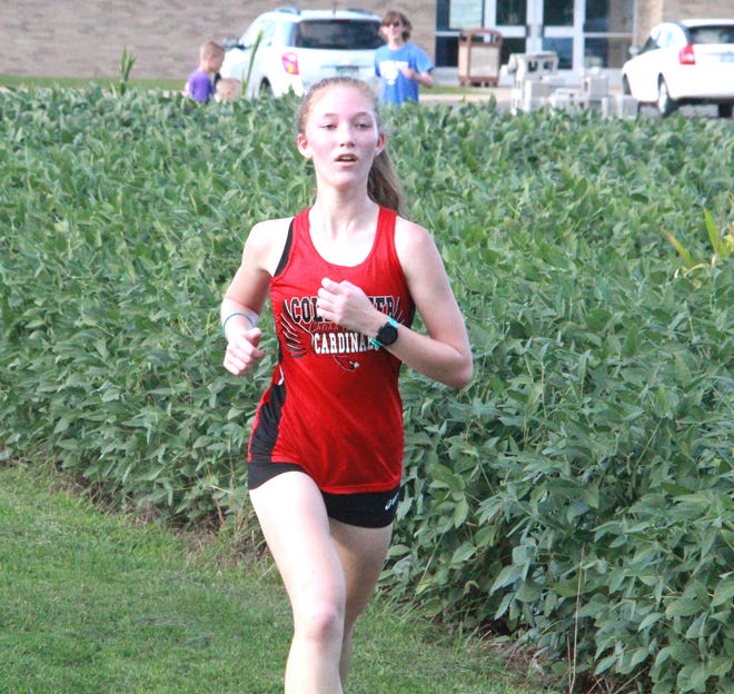 Coldwater's Lainey Yearling earned Interstate 8 All Conference honors after finishing in ninth place at Saturday's I-8 Conference Chamionship