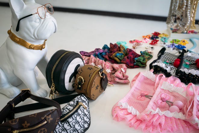 Dog clothes and accessories will be on display Friday, July 22, 2022 at Barks Fifth, owned by Commerce resident Candice Williams, 42, on Detroit's Avenue of Fashion.