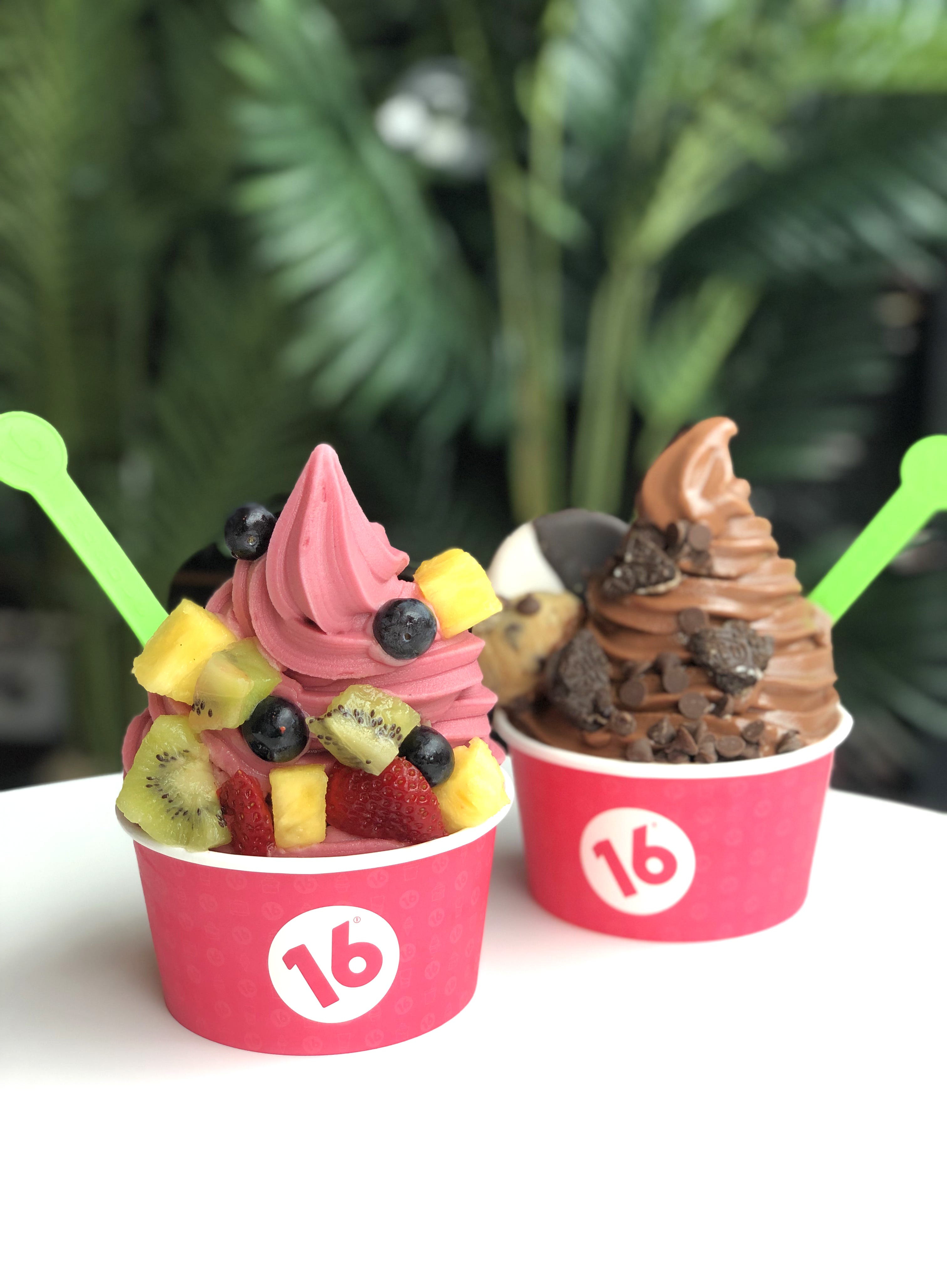 youtuber-danny-duncan-opening-frozen-yogurt-shop-in-englewood
