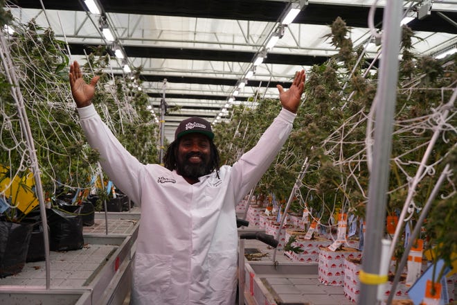 Former NFL player Ricky Williams is the president and co-founder of Highsman, a cannabis lifestyle brand.