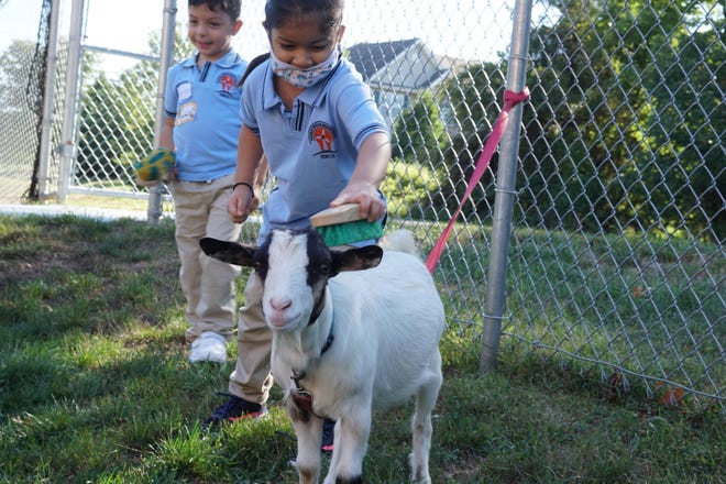 Thomas Edison EnergySmart Charter School's first day of school, with a petting zoo.