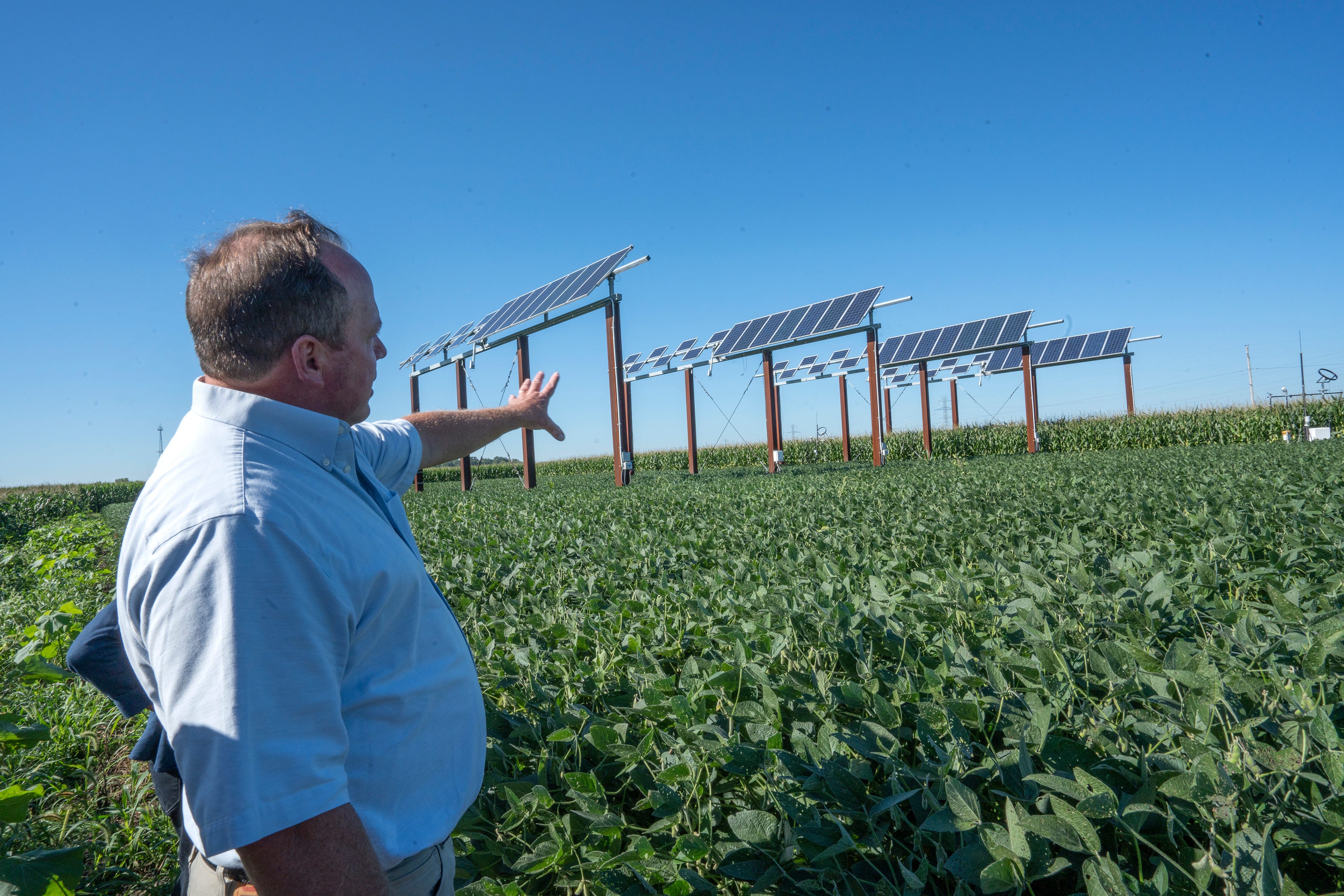 Purdue leading research to grow solar and crops together in Corn Belt