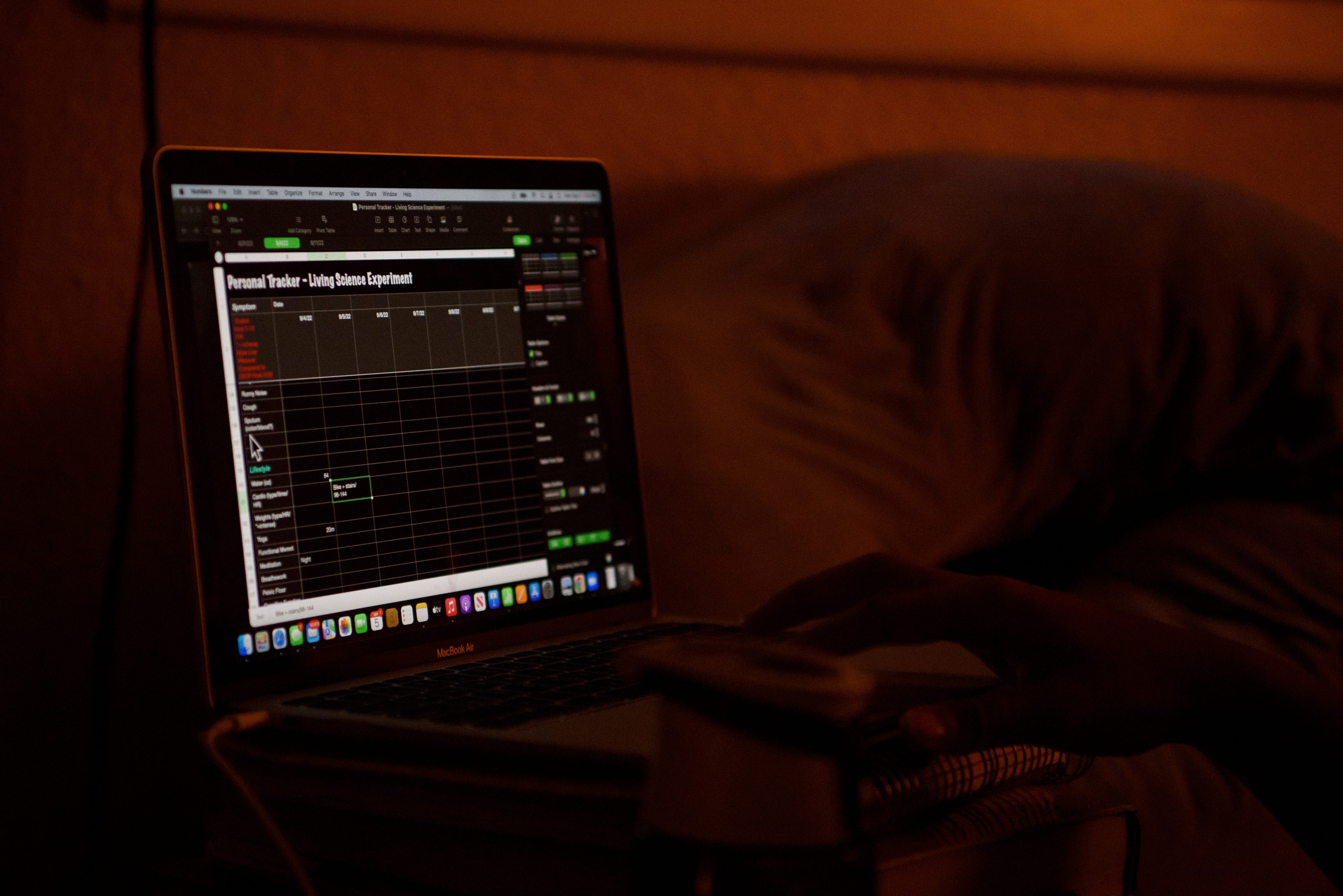 Liza Fisher tracks her heart rate on her computer at her home in Houston.