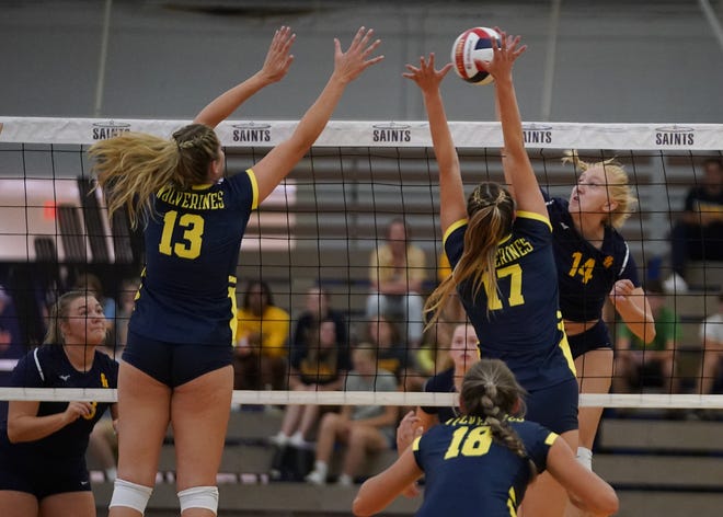 Siena Heights' Kinsey Wagner (14) goes up for a kill during Wednesday's match against Michigan Dearborn.
