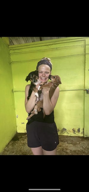 University of Findlay student Cameron Nau of Louisville recently spent two weeks helping with veterinary care in Thailand as part of a study abroad program.  She worked with dogs and elephants during her visit.