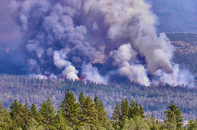 The Forward Fire burns in timber east of Manton on Friday afternoon, Sept. 9, 2022.