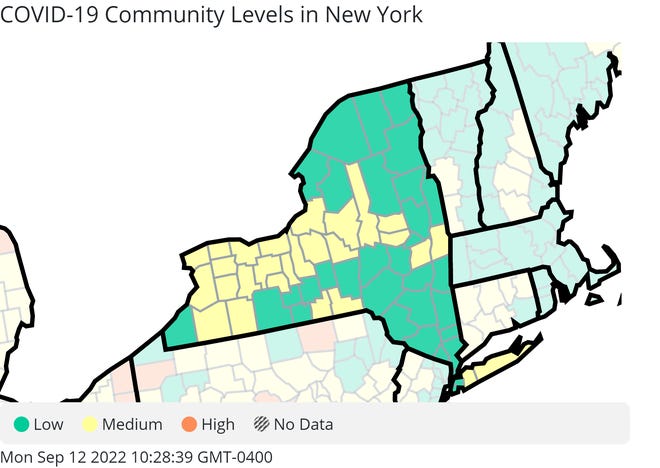 COVID-19 community levels in New York