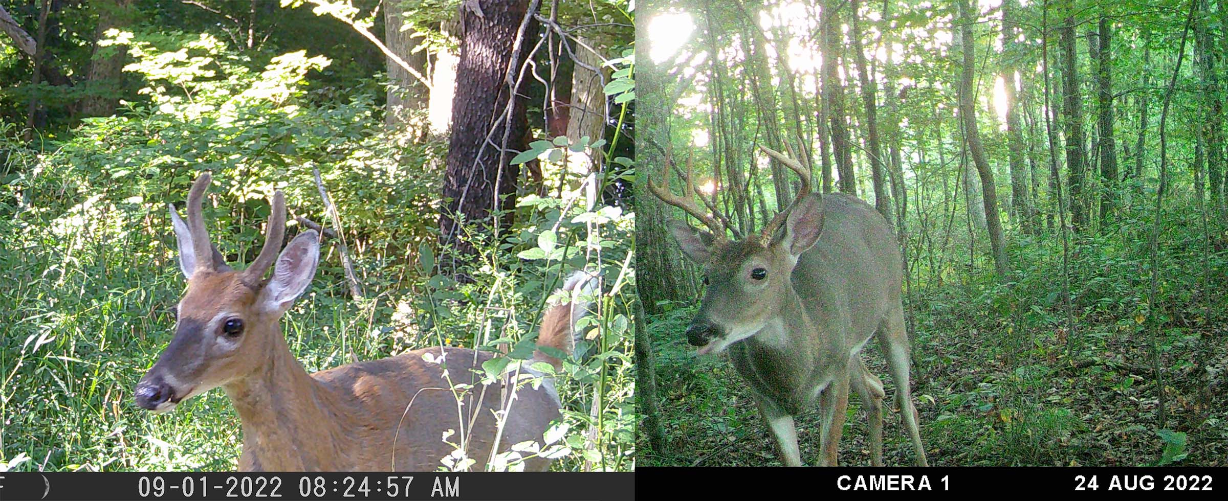 go-outdoors-pennsylvania-with-so-much-to-do-and-see-outdoors-in