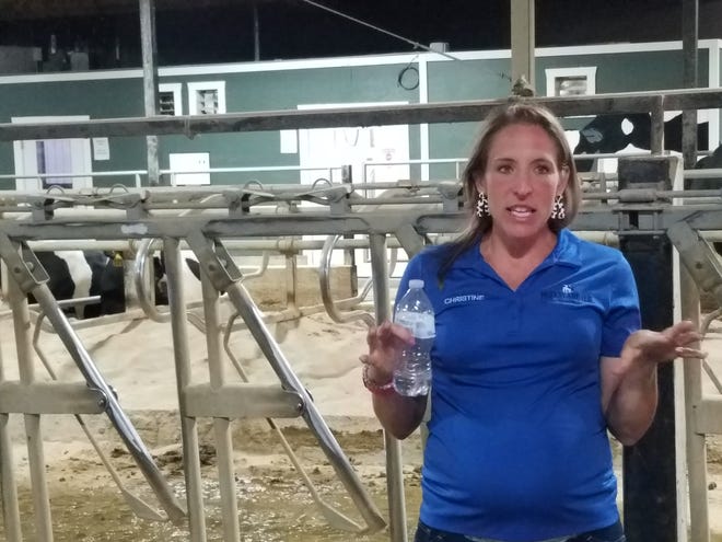 Christine Bender returned to her family’s farm after several years of working off the farm after college. She has helped to bring about some changes to the farm including a heated baby calf room where she can care for the new-borns more efficiently. The room is shown behind her inside the freshening barn on the McFarland farm at Watertown.