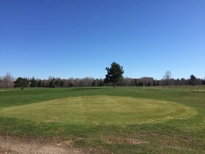 Wildwood Lakes Golf Course in Wolverine is up for auction, with sealed bids due by 5 pm Oct.  12.