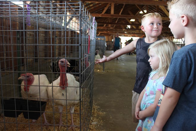The 2022 St. Joseph County Grange Fair begins Sunday. In 2021, Kian Sass, Caycee Ventrone and Maverik Ventrone enjoyed checking out turkeys and other animal barns on opening day.
