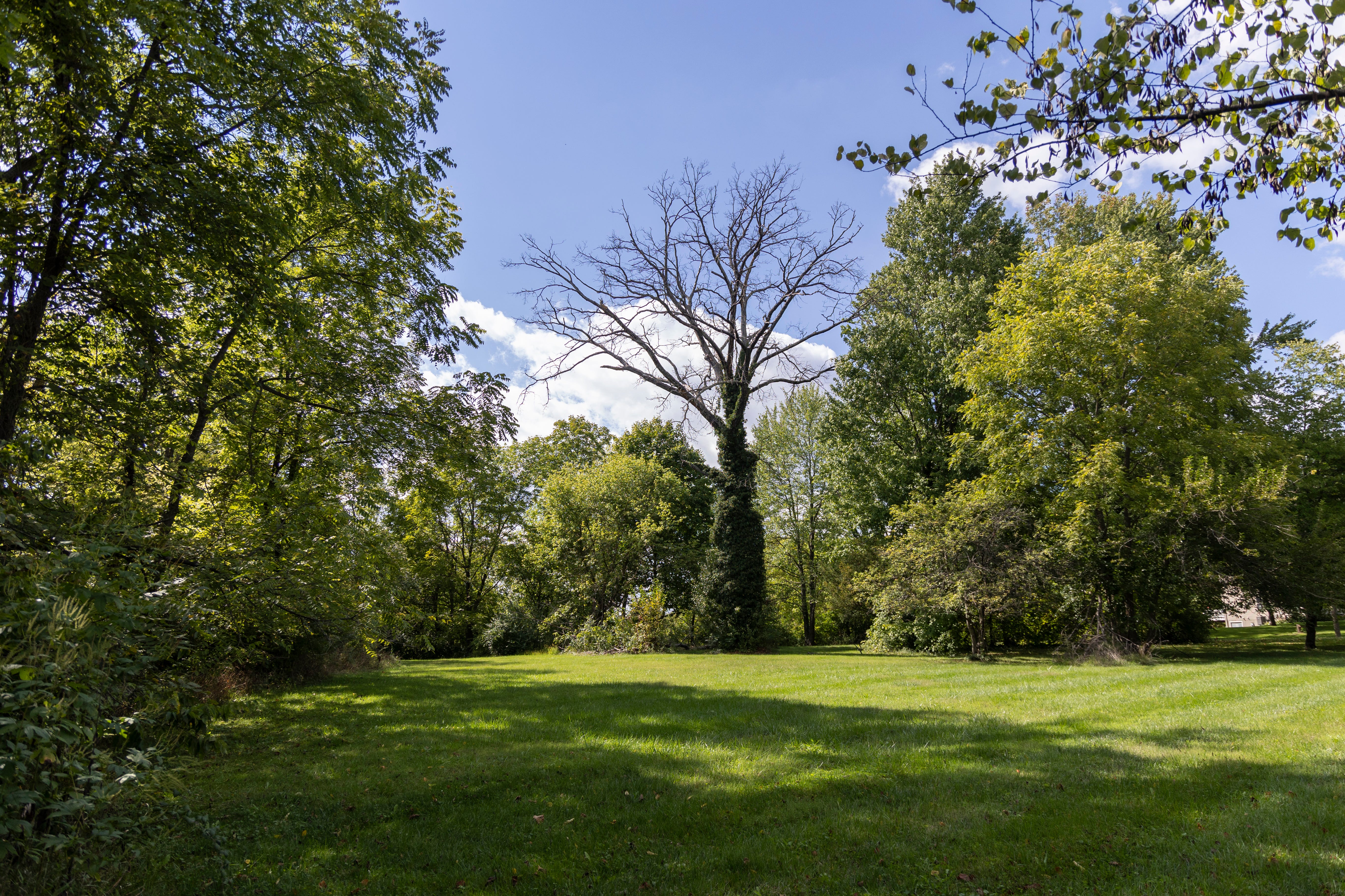 Mason City Council postpones decision on Gould property, arts center