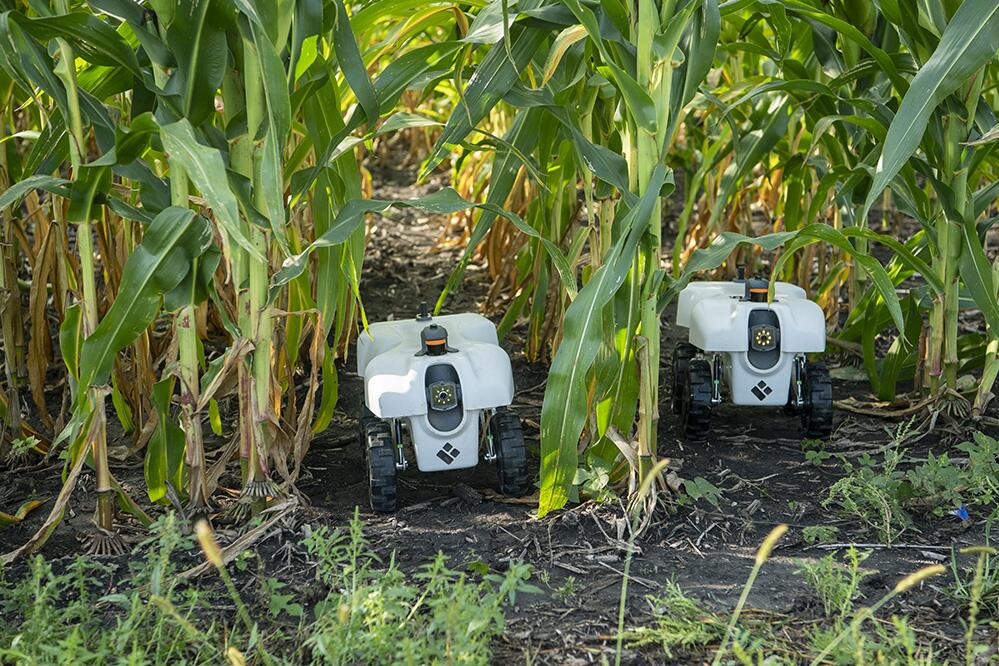 Digital tools can transform agriculture to be more sustainable