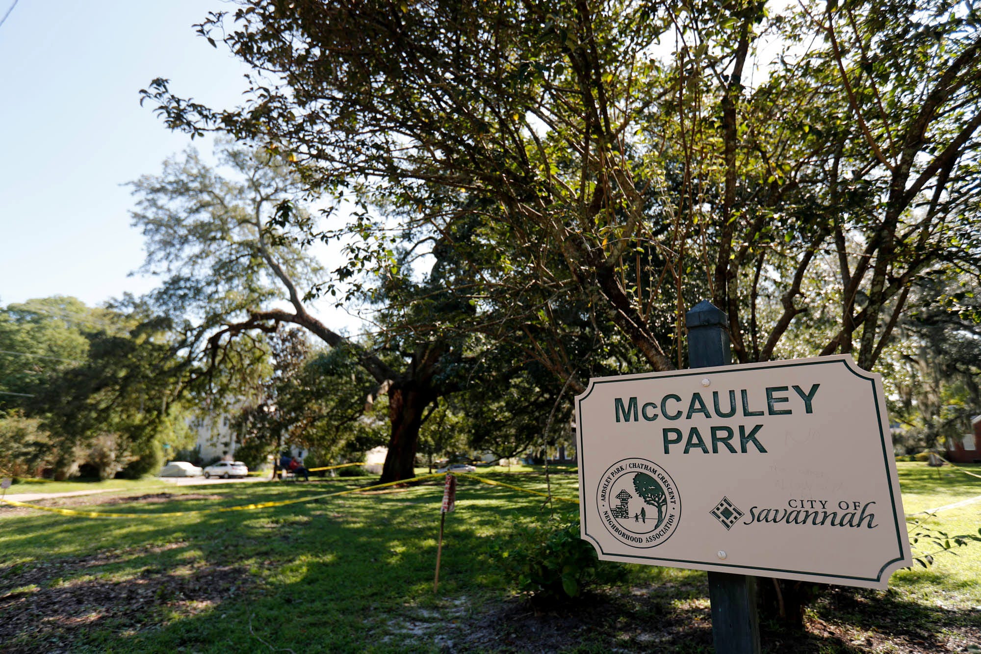 Savannah Officials decide to cut down popular live oak in McCauley Park
