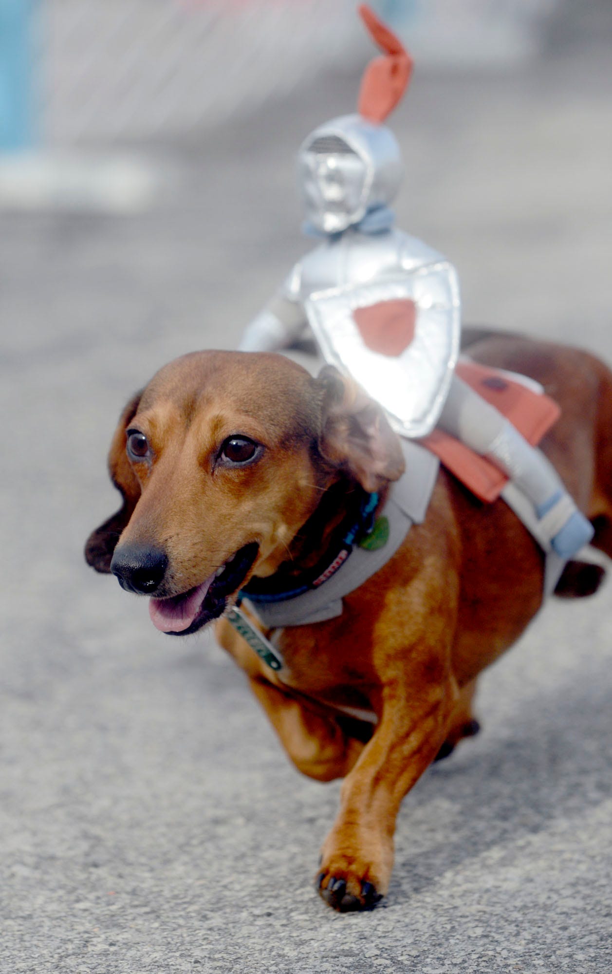 Oktoberfest in Wilmington 11 breweries and restaurants hosting events