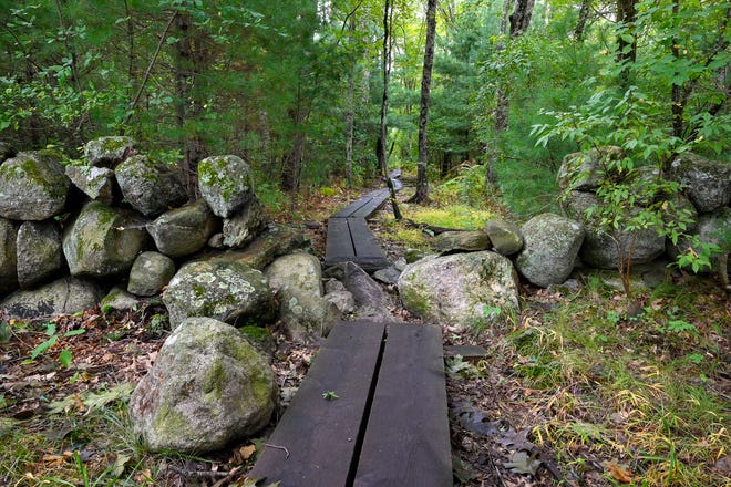 Wooden planks run on either side of a stone wall at Newbury Field in Concord on Wednesday, Sept. 21, 2022.
