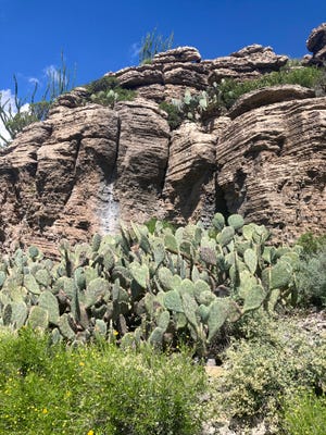 Hikers in Guadalupe Mountains National Park can experience multiple ecological zones as they gain elevation. The Permian Reef trail, pictured in September 2022, includes fossils and diverse vegetation.