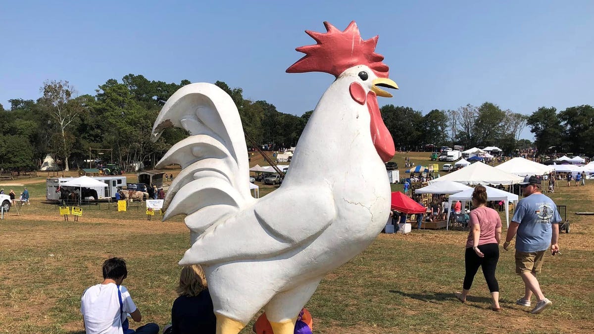 Gallery Field Day of the Past 2022 in Amelia County, 20K attend event