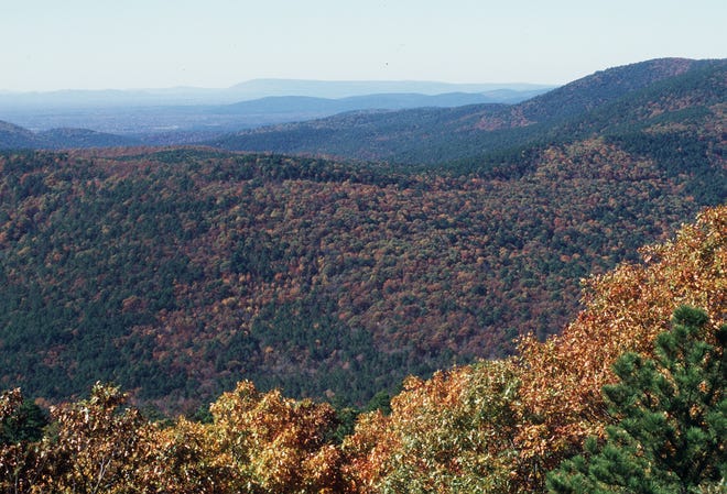 The Talimena National Scenic Byway offers a view of the fall colors dotting the mountains of the Ouachita National Forest in southeast Oklahoma.