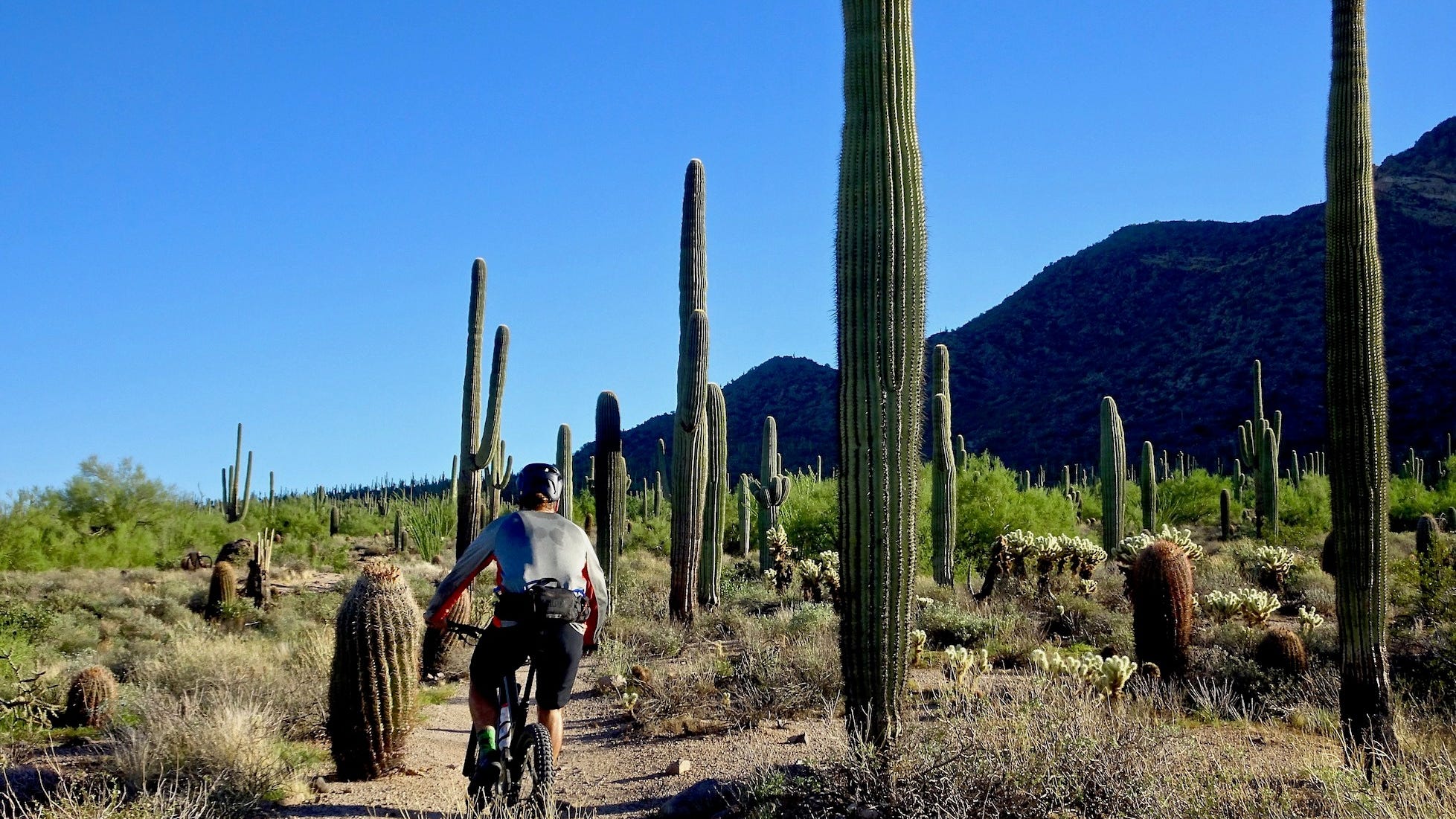 Usery Mountain Regional Park: Camping and trail guide