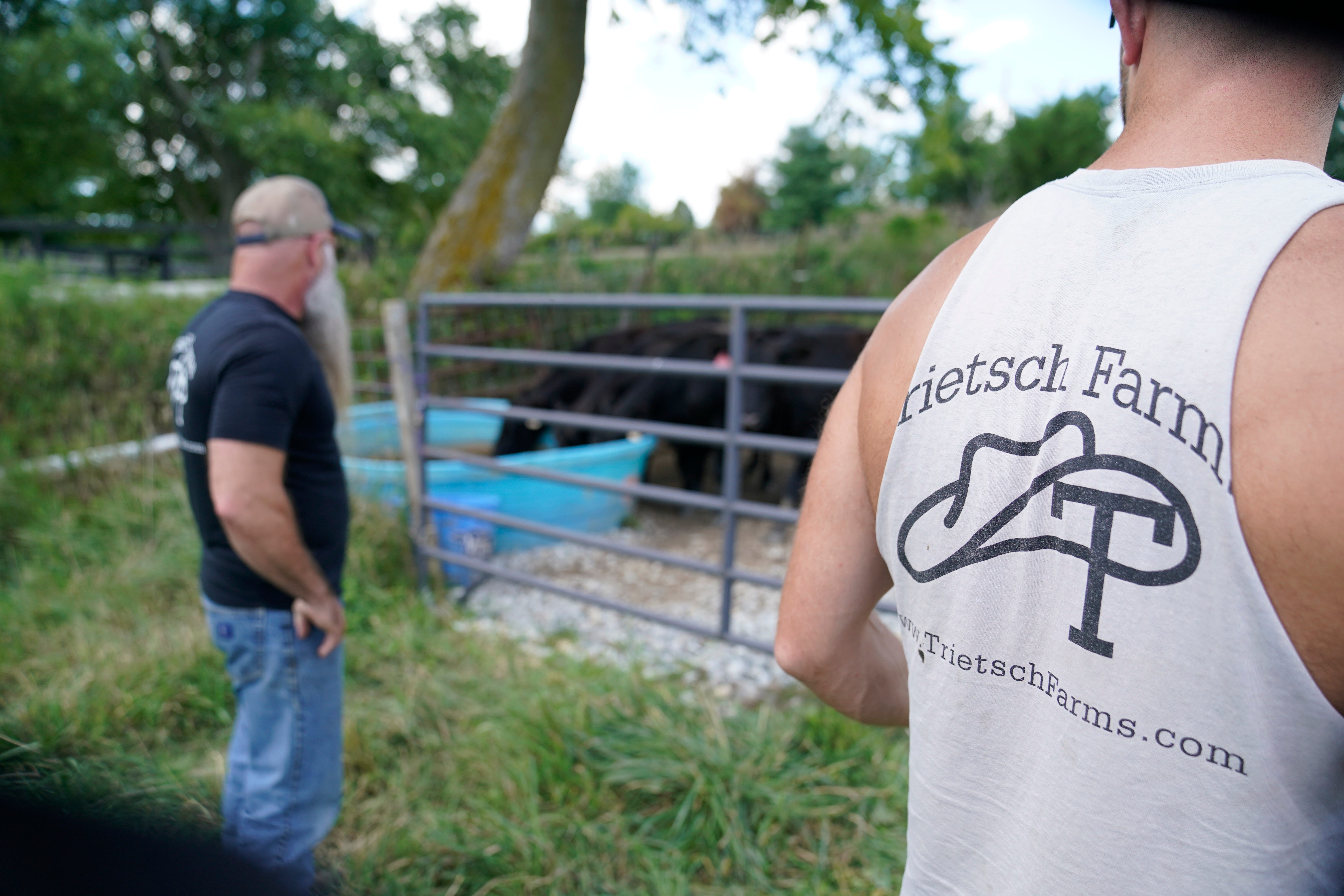 Jim Trietsch, a cattle farmer in central Indiana, left, stands with his son watching their cows on one of their pastures.