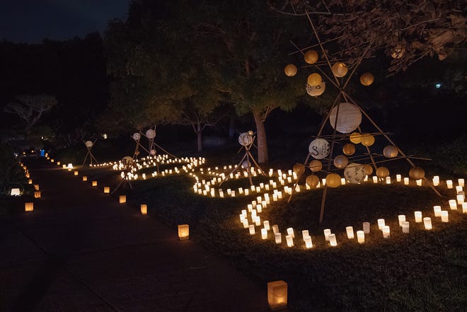 大月见月景展期间，凤凰城的日本友谊园将用灯笼装饰。
