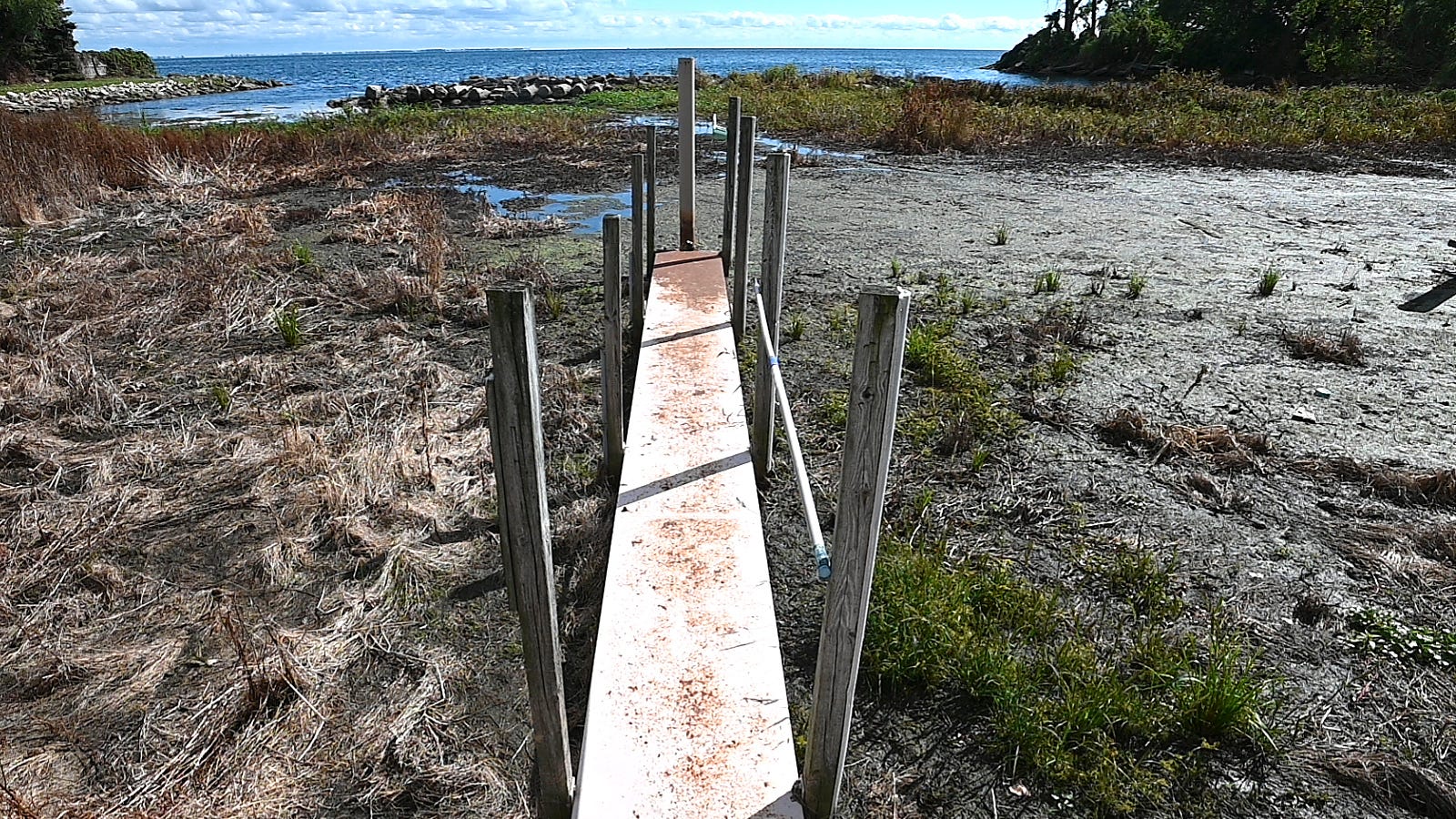 Co., feds team up for probe into algae on Lake St. Clair