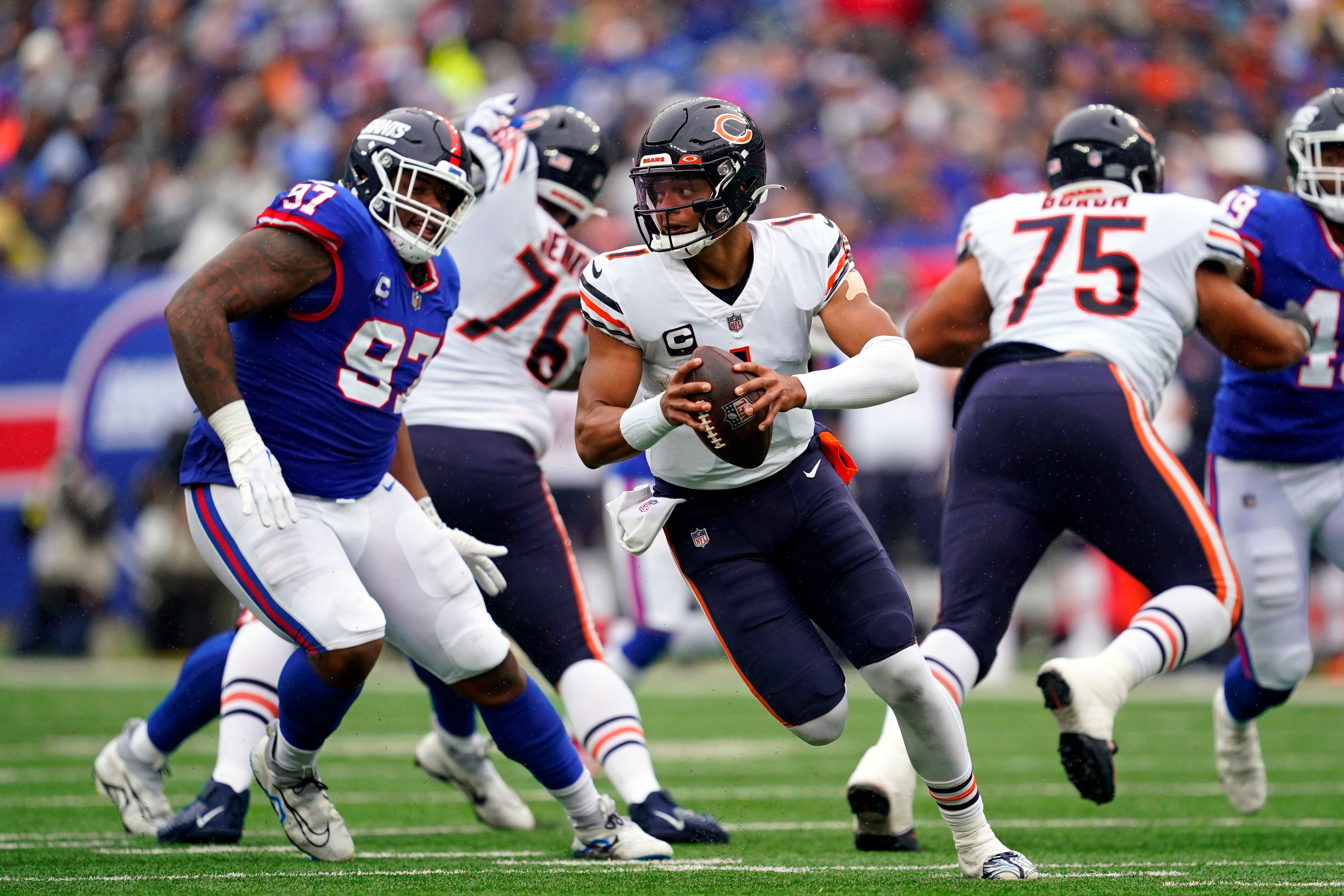 chicago tribune bears vikings betting