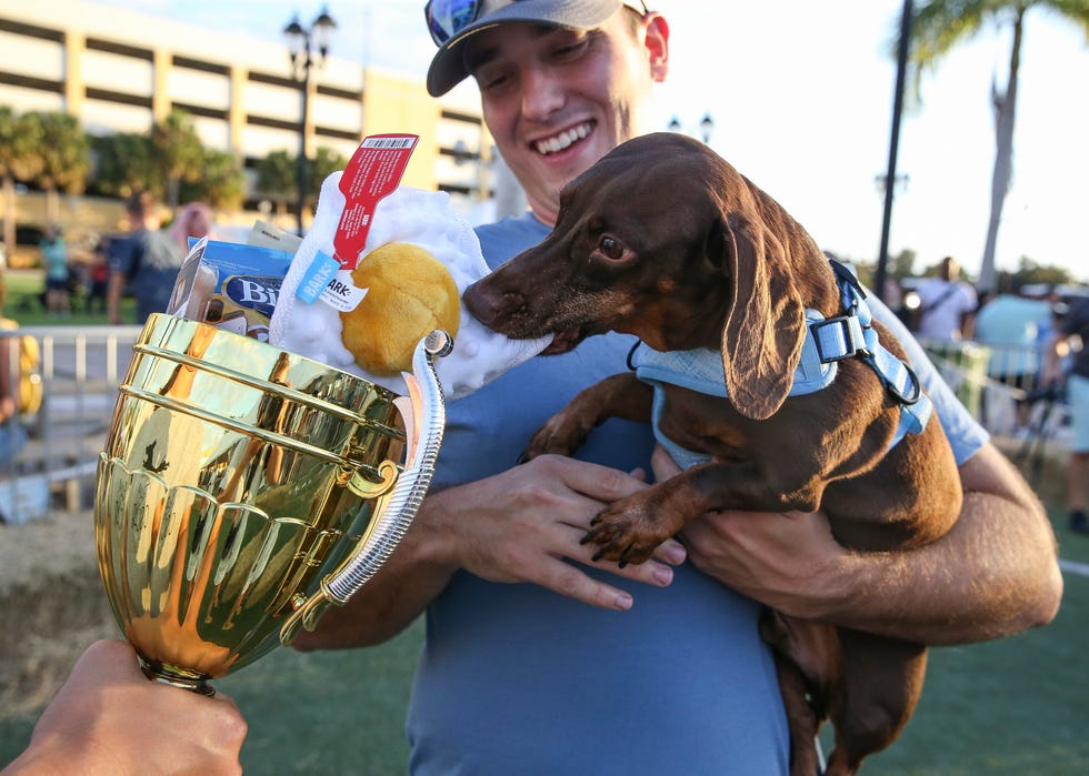 See wiener dogs soar to new heights in annual race at Florida festival