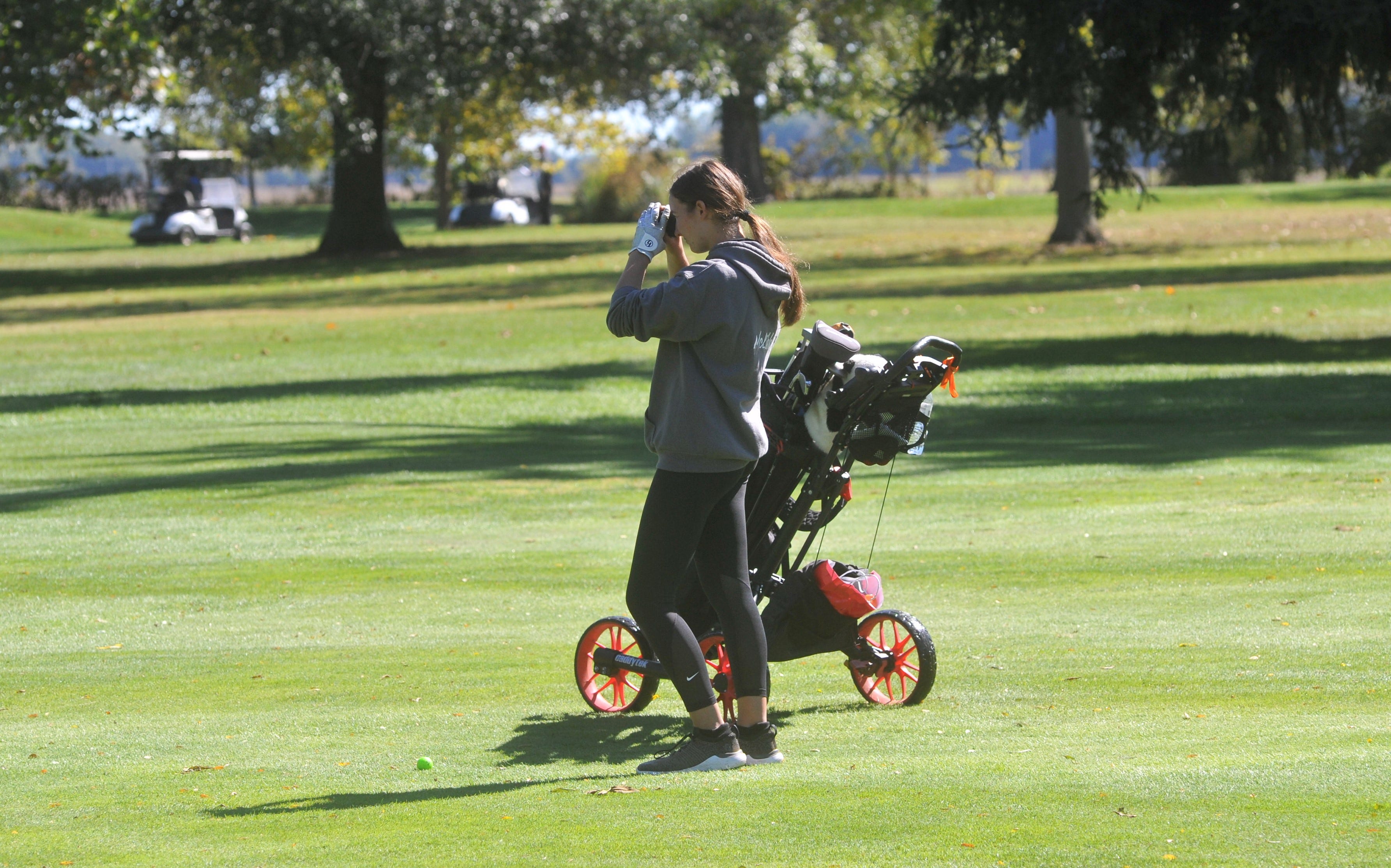Colonel Crawford girls golf leaned on new faces to make state return