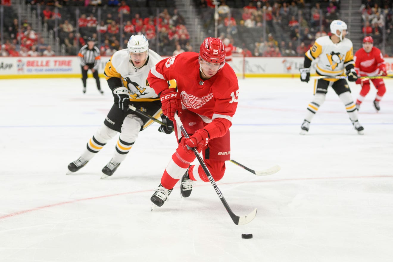 The Red Wings called up forward Jakub Vrana on Tuesday.