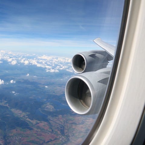 Americans were surveyed about their biggest pet pe