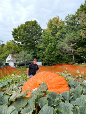 Todd Kogut started growing the pumpkin seeds in the spring and by July, he had three pumpkins, but only one of them made the cut.