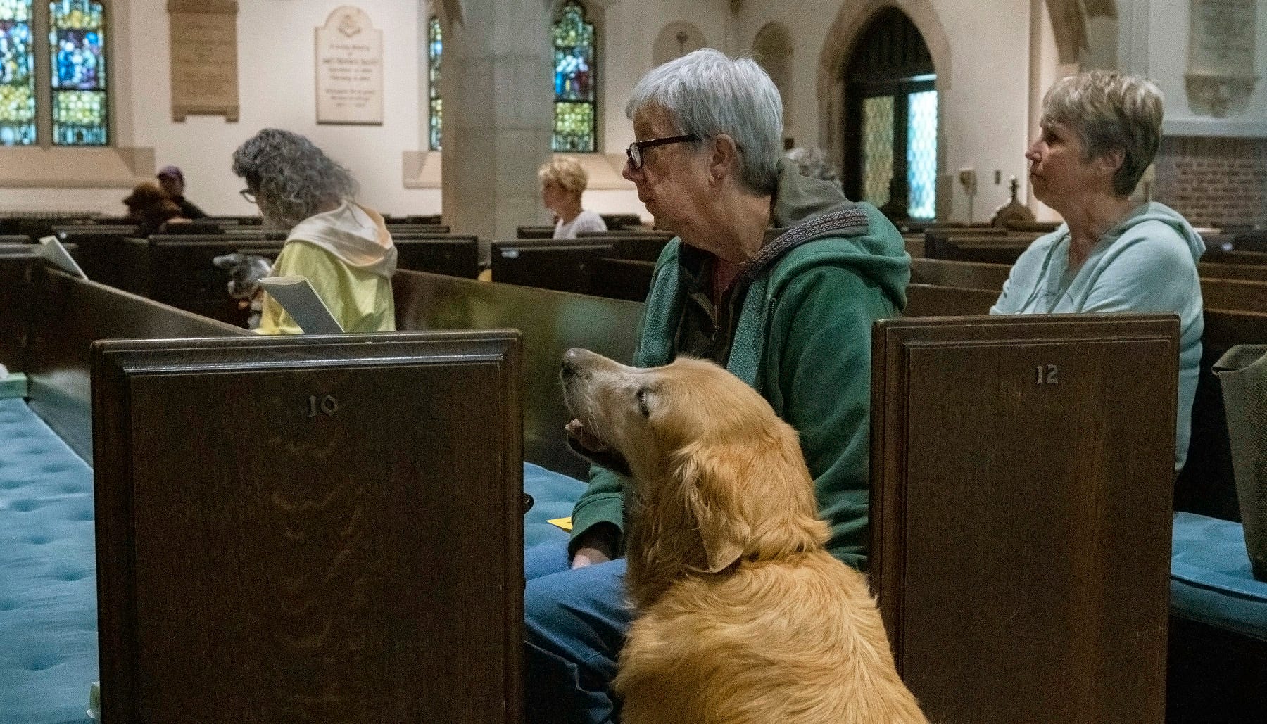 Are Service Dogs Allowed In Churches