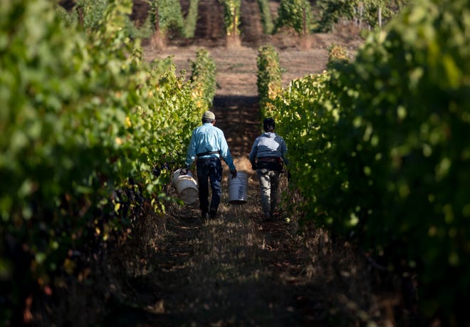 Members of the wine industry were divided over a bill designed to help offset increased labor costs associated with paying overtime wages to agricultural workers.