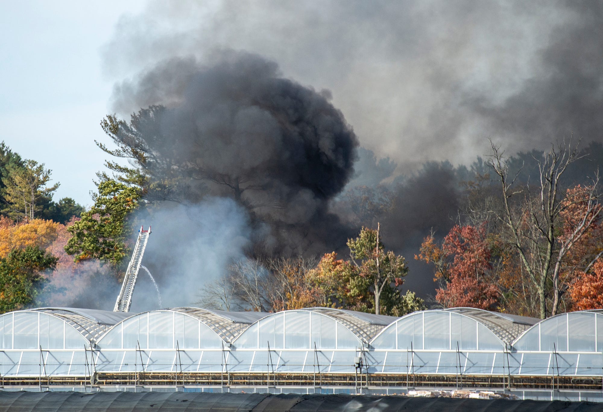 Air quality monitored after fire at Cavicchio's Greenhouses in Sudbury