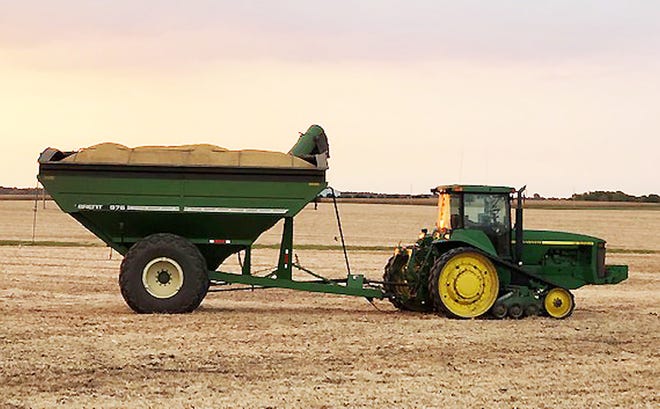 An auger wagon full of soybeans in one of Dennis Wenger's fields west of Fairbury.